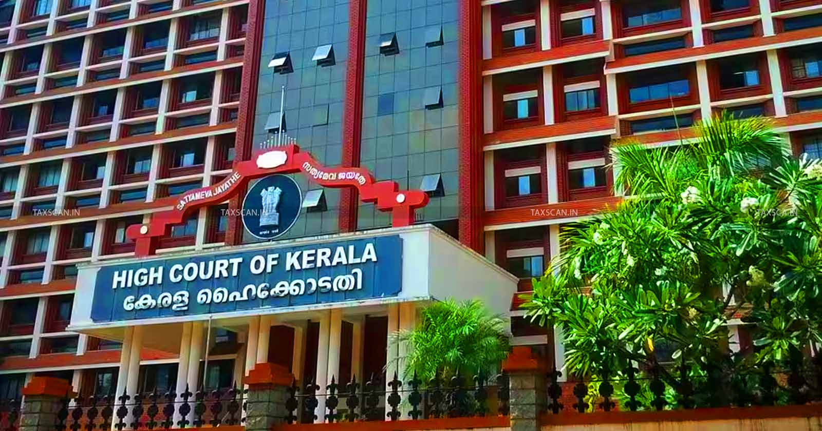 Kerala High Court Affirms Woman’s Freedom to Select Spouse, Releases Her from Custodial Restraint